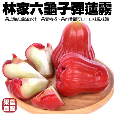 【果農直配】六龜子彈蓮霧(小顆) (5.7折)