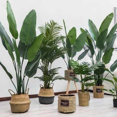 仿真植物旅人蕉室內落地盆栽擺件裝飾龜背葉竹綠植天堂鳥假樹 80厘米小葉琴葉榕連盆