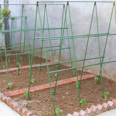 爬藤架種菜架子花架花園陽臺花爬架植物豆角黃瓜架葡萄架戶外 11mm直徑粗1.8米長90cm高三橫八豎