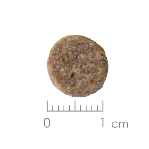 貝斯比高齡犬低卡配方6 8kg 松果購物