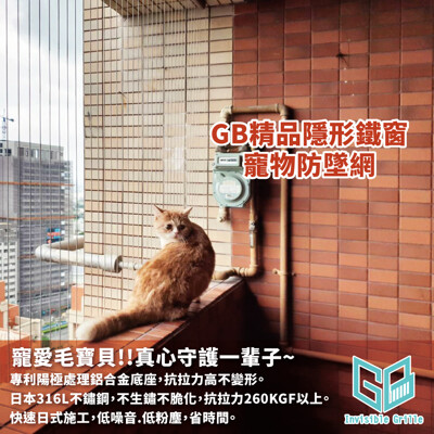 喵皇.毛小孩.貓狗防墜隱形鐵窗 😻保護毛寶貝安心探險不用怕,陽台窗台3公分防墜效果最好