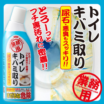 【Aimedia 艾美迪雅】 馬桶專用濃縮去汙劑 300ml (9折)