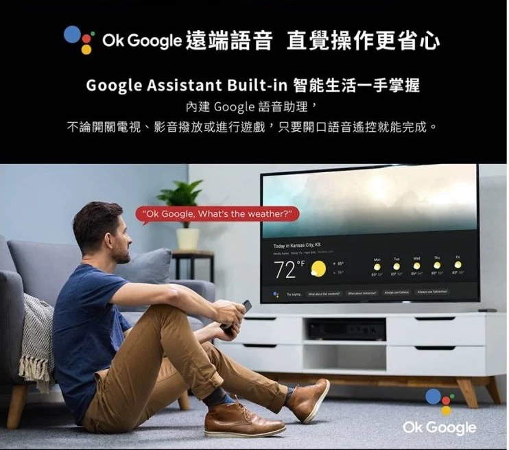 【TCL】55吋 4K HDR Google TV 智能連網液晶電視 55P737 送基本安裝 － 松果購物