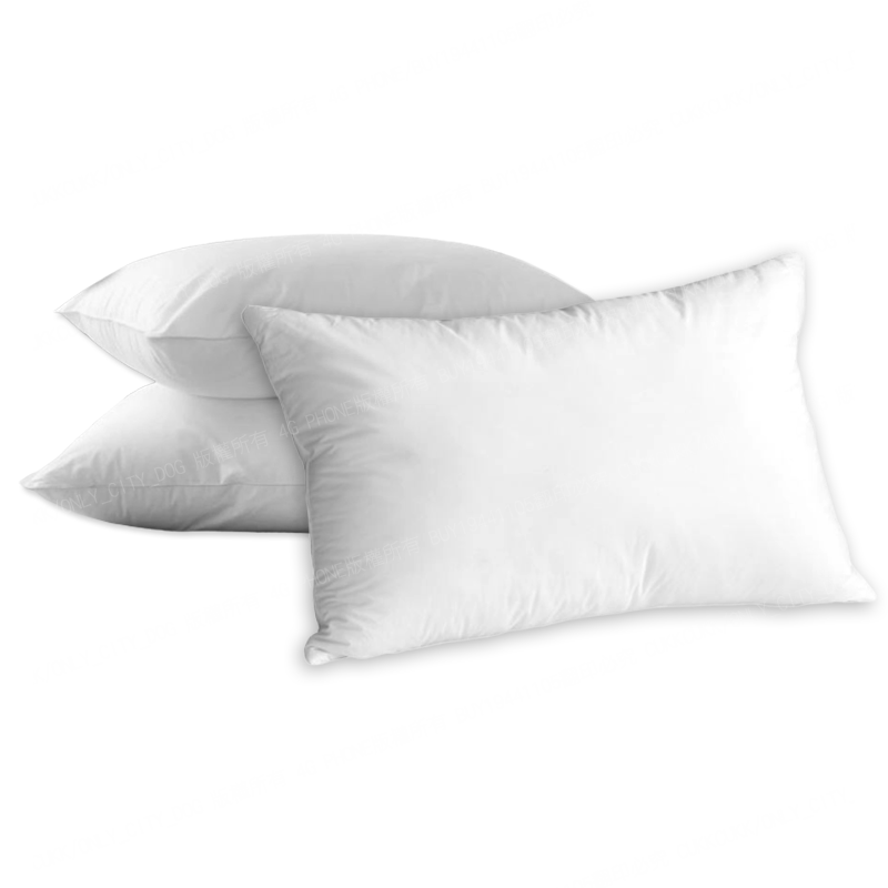 五甲木 泰國金枕頭鮮凍果肉 350克 包 松果購物