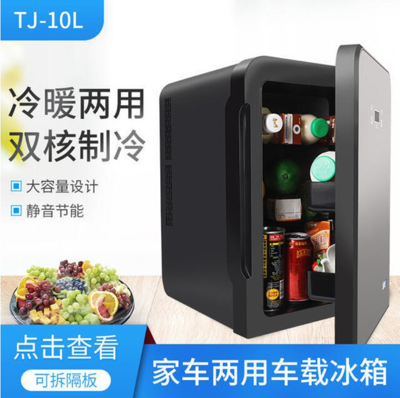 【新北現貨】車載冰箱 110v 10L冰箱 迷你小冰箱 學生宿舍冷暖箱 車家兩用冷藏保鮮 (6.3折)