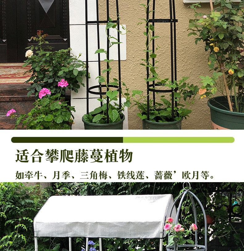 花架立柱花架爬藤架園藝支架植物攀爬架鐵藝支柱室內外月季鐵線蓮葡萄 快速出貨 松果購物