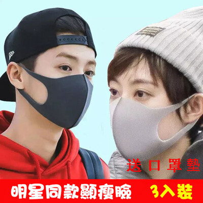 防塵冰絲防風口罩男女顯瘦臉可水洗霧霾3D口罩-3入 (8折)