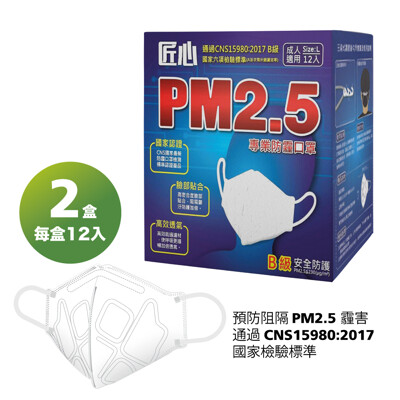 【匠心】PM2.5專業3D立體防霾口罩-12入/X2盒 (9折)