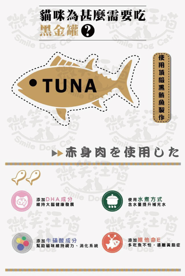 Aixia 愛喜雅 黑金罐主食6號 鰹魚 鮪魚 雞肉口味 160gx24罐 松果購物