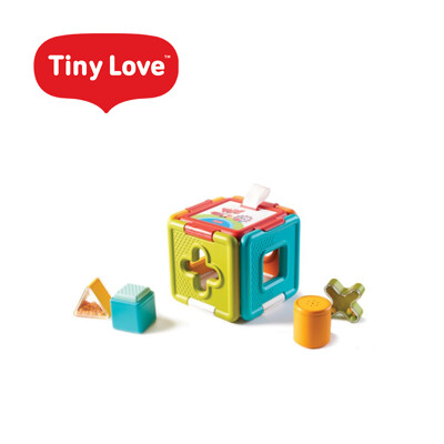 tiny love 美國感統積木玩具六面盒-快樂草原