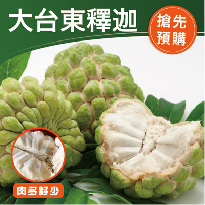 【鮮食優多】鮮甜大台東釋迦5斤(7-9顆)