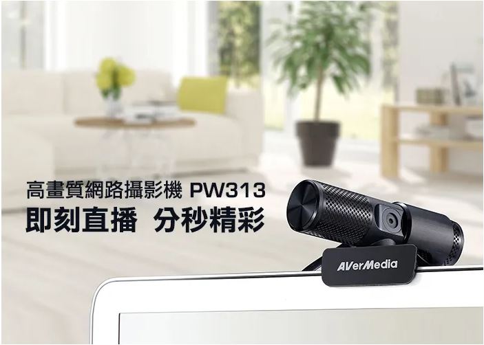 圓剛 PW313 Live Streamer CAM Full HD 1080p高畫質直播網路攝影機