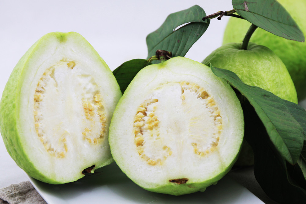 高雄燕巢产销履历珍珠芭乐外销规格(10台斤)一箱