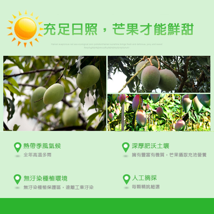 充足日照,芒果才能鮮甜，熱帶季風氣候，深厚肥沃土壤，全年高溫多雨，擁有豐富有機質,芒果攝取充沛營養，O無汙染種植環境，無汙染種植保護區,遠離工業汙染，人工摘採，每顆精挑細選。