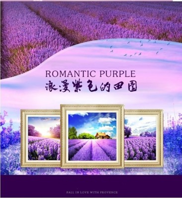 DIY浪漫簡約款5D鑽石畫(任選一組2入)