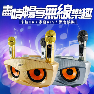 升級版 SD306 PLUS 貓頭鷹麥克風 家庭ktv 無線雙人麥克風藍牙音箱 (2折)