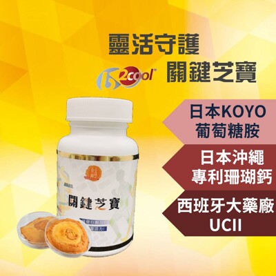 關鍵芝寶 專利UC2 葡萄糖胺 鈣 UC-II 二型膠原蛋白 維骨力 運動保健 骨本保健 (9.4折)